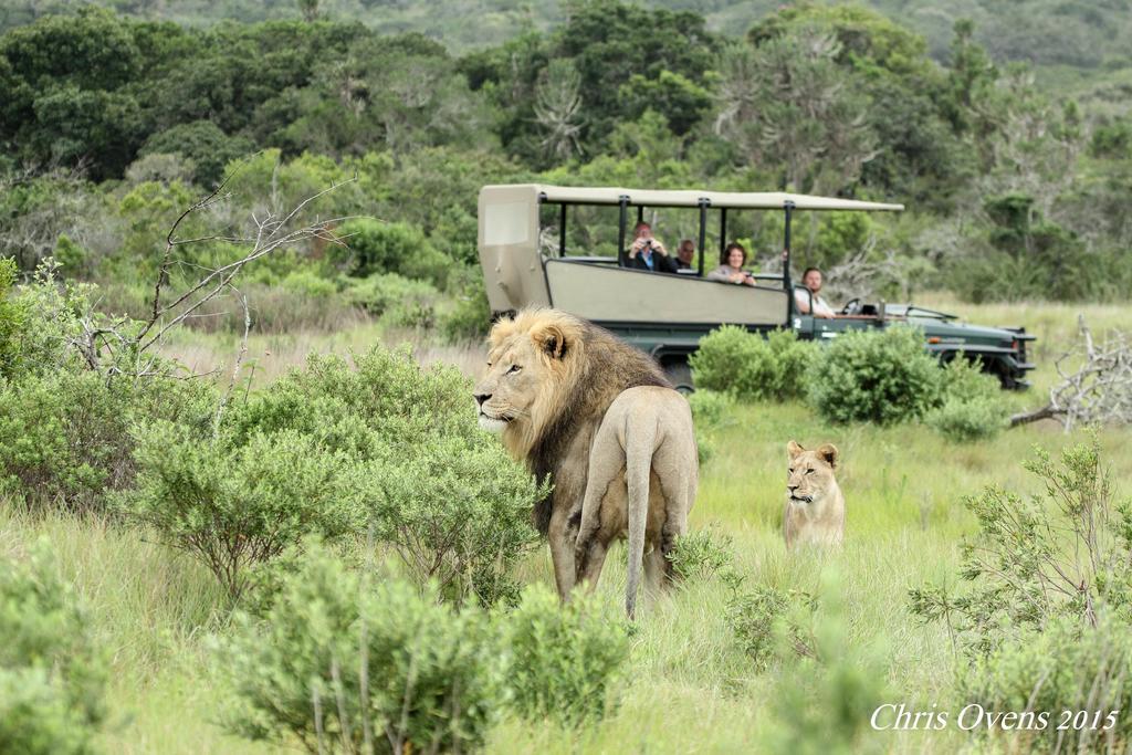Sibuya Game Reserve And Lodge Kenton on Sea Ngoại thất bức ảnh